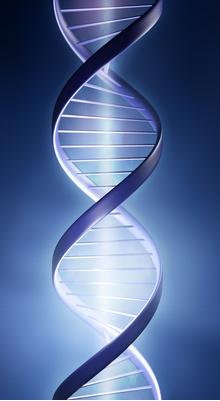 Determigene DNA Testing